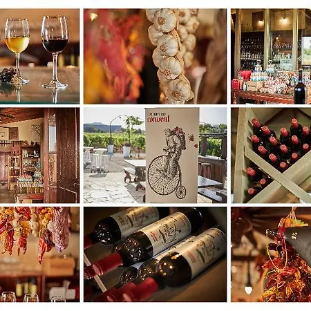 Sa Vinya Des Convent 酒店